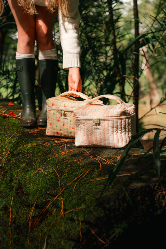Paloma Train Case